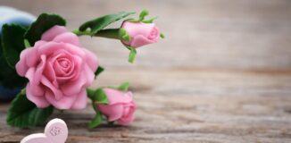 Rozowe-roze-na-stole